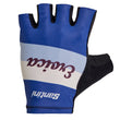 Load image into Gallery viewer, eroica glove old black leather
